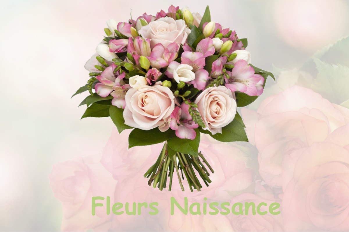 fleurs naissance FLAUJAC-POUJOLS